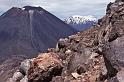 WT 0200 024-23 New Zealand